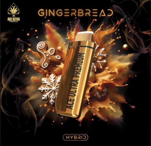 GINGERBREAD|HYBRID